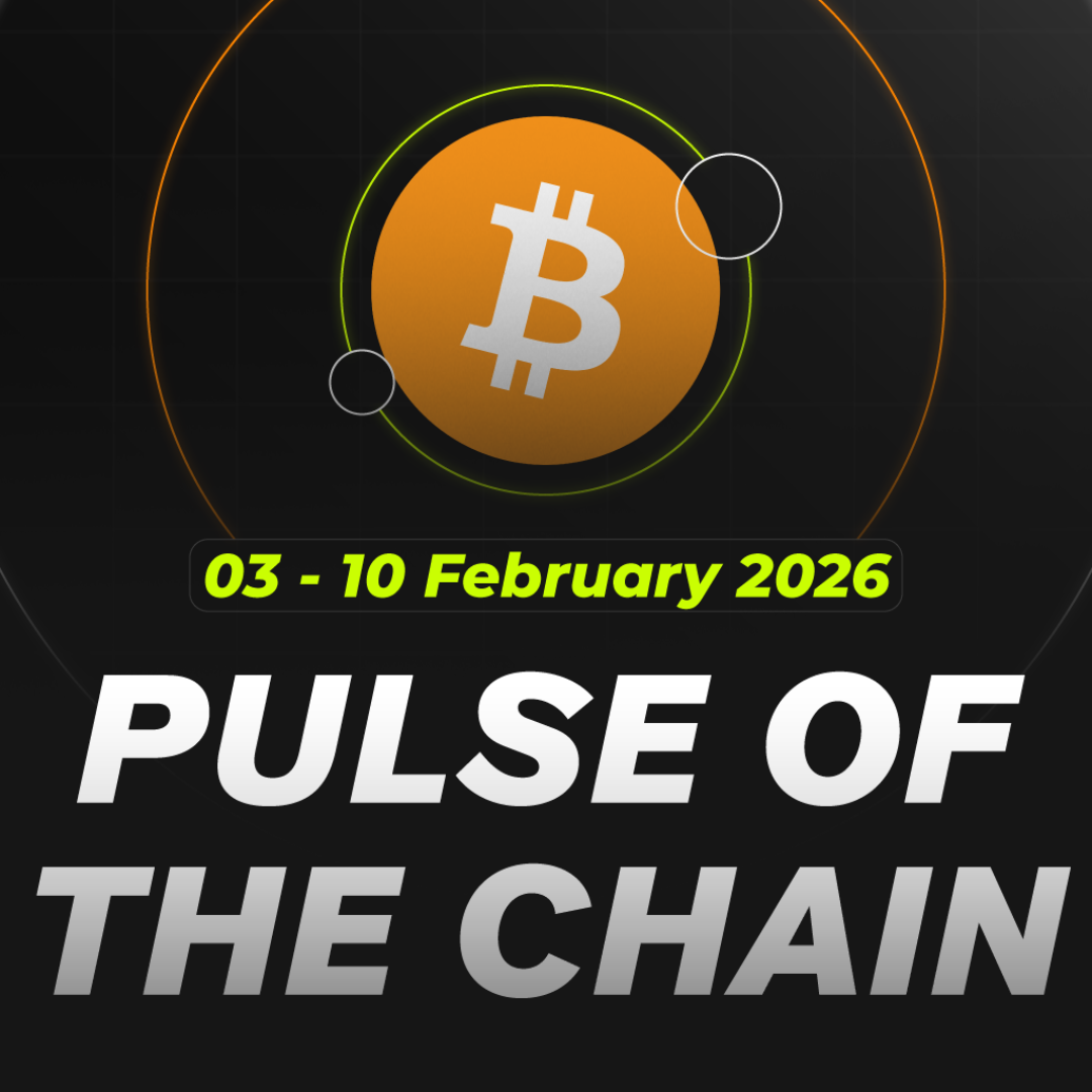 Pulse of the Chain  03 - 10 February 2026