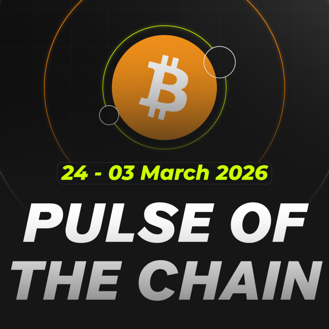 Pulse of the chain 24 February  - 03 March BTC/USDT Analysis